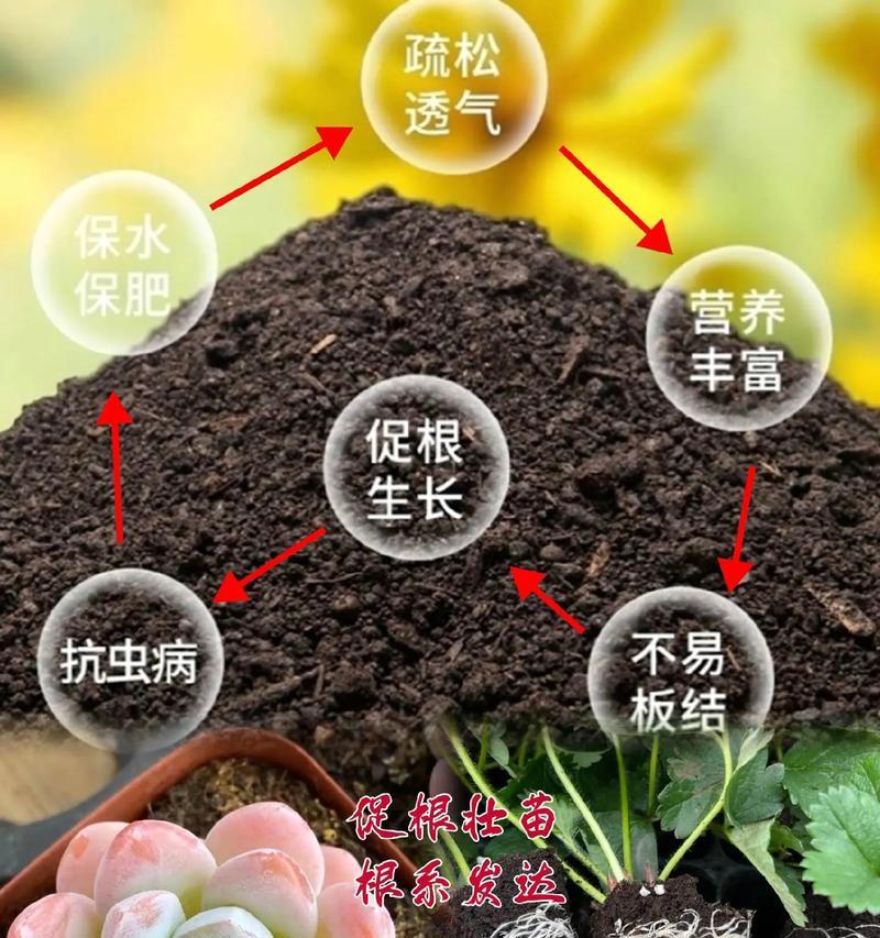 哪种土壤最适合种植花卉？如何选择适合的土壤类型？