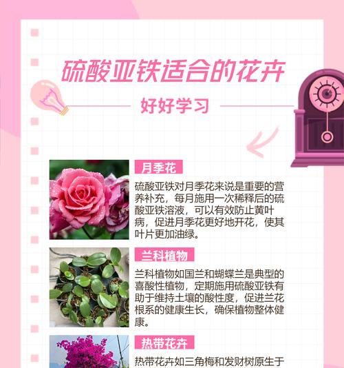 哪种土壤最适合种植花卉？如何选择适合的土壤类型？