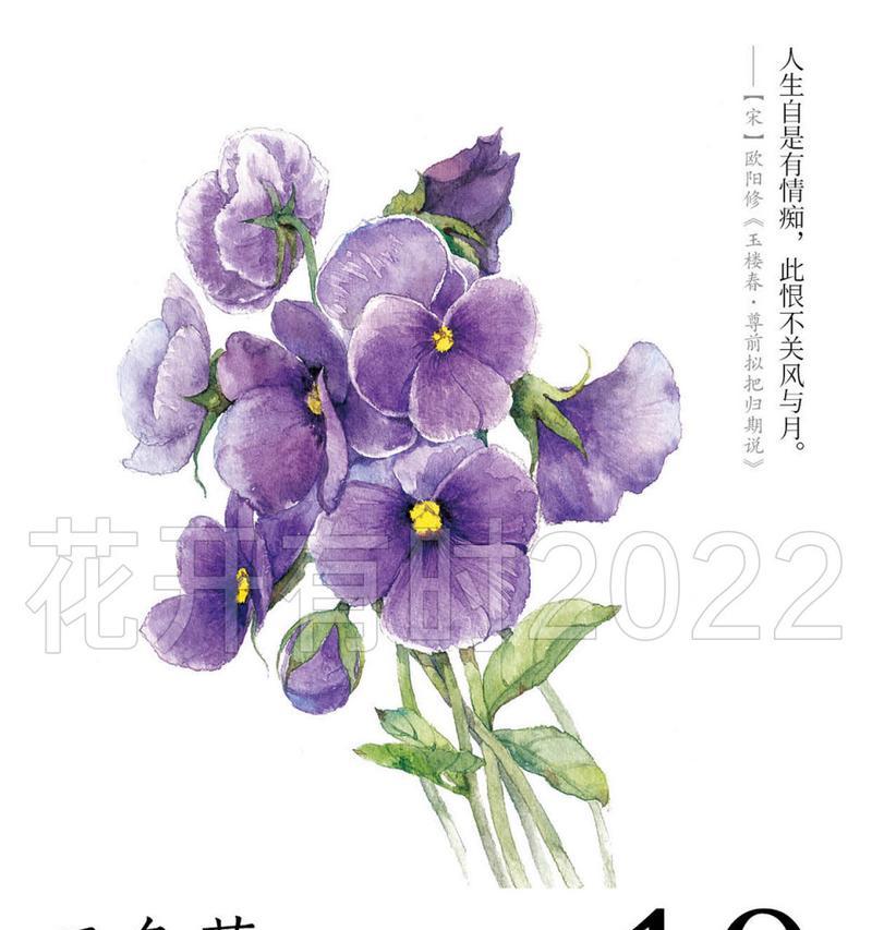 送给媳妇的花语有哪些？自己送给媳妇的花语是什么？