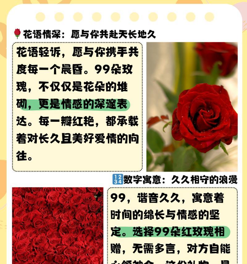 二万朵玫瑰花的花语和象征意义是什么？