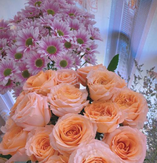 二万朵玫瑰花的花语和象征意义是什么？
