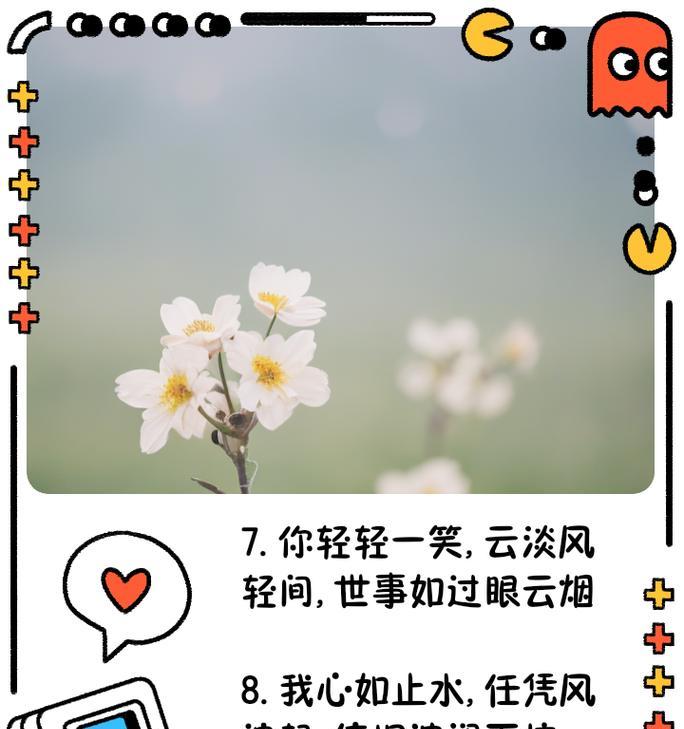 生性淡泊的花语代表了什么？