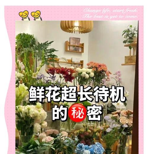 鲜花的保鲜方法有哪些？如何延长鲜花的观赏期？