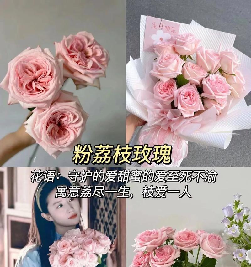 如何撰写玫瑰花的花语？它有哪些特别的含义？