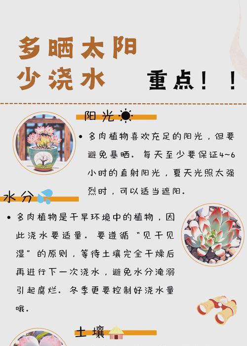 植物彩虹的养护技巧有哪些？如何保持其鲜艳的颜色？