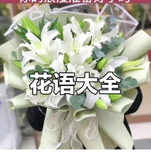 夸女生可爱的花语是什么？哪种花语最能表达对女生的可爱赞美？