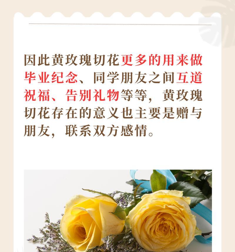 花语调为何常与爱情相关联？爱情花语有哪些？