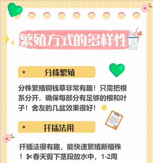 新买的铜钱草如何养护？需要注意哪些事项？