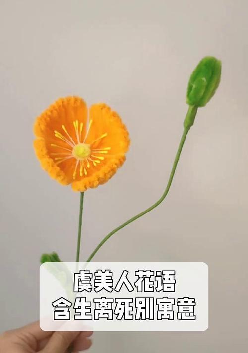 虞美人花的寓意和花语分别是什么？
