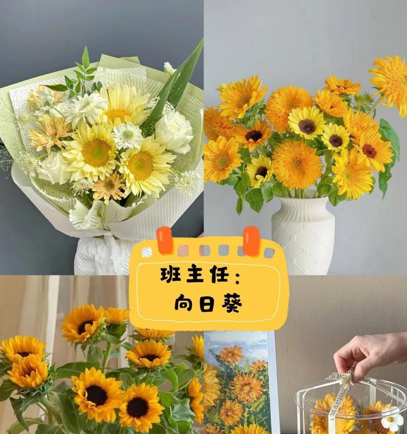 教师节适合用哪种花语？