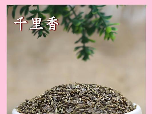 千里香花的养护技巧有哪些？