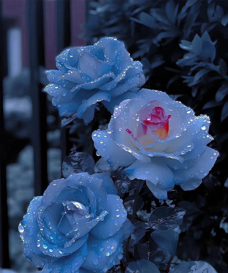 什么样的花语代表“这么大”？这种花语的花是什么？