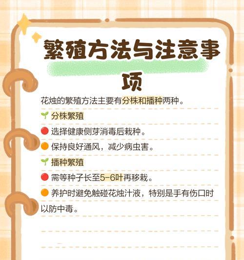 花烛的养殖方法有哪些？