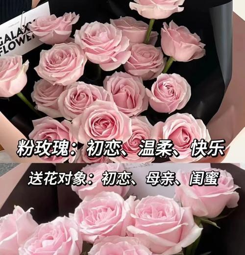 哪种玫瑰最美丽？它的花语寓意是什么？