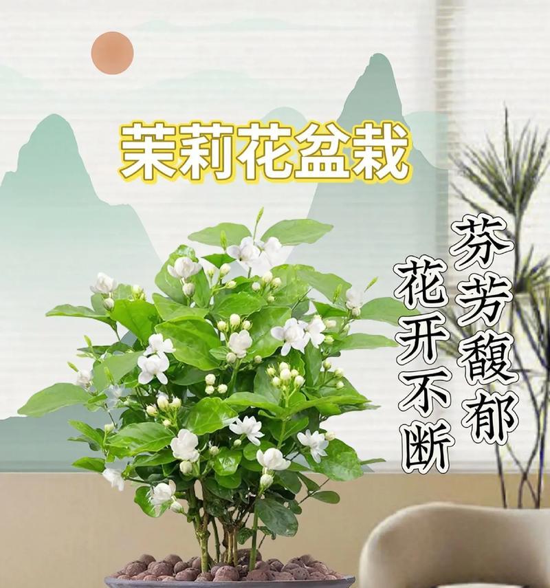 茉莉花盆栽的养护技巧有哪些？如何让茉莉花盆栽开出更多花？