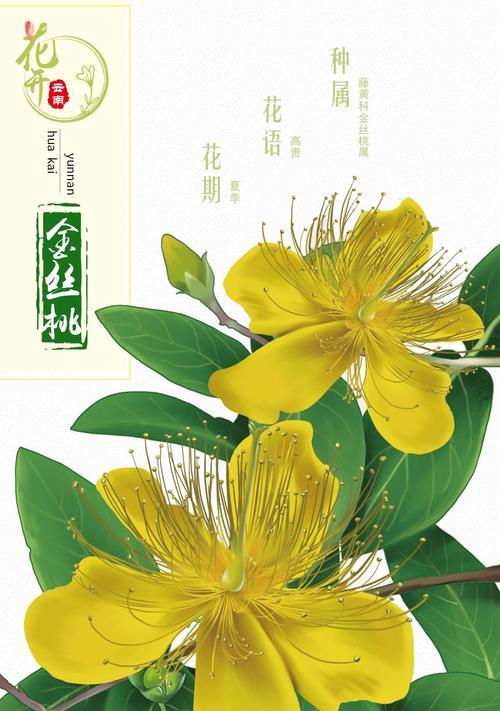 桃子花语代表了什么特殊含义？