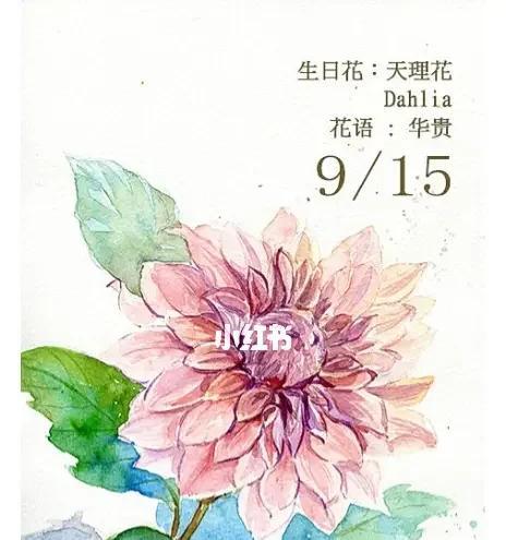哪种花的花语最适合庆祝生日？