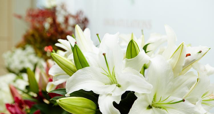 所爱之花的花语代表什么？
