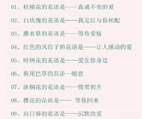 所爱之花的花语代表什么？