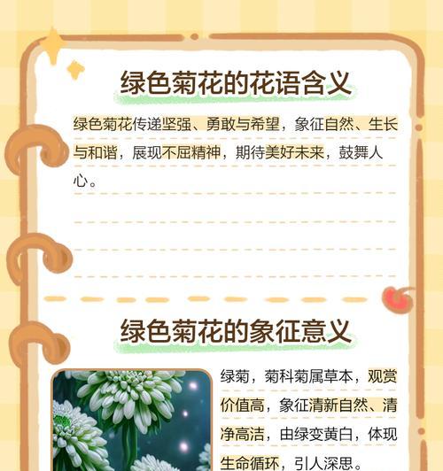 养殖菊花的寓意和花语是什么？它象征着什么？