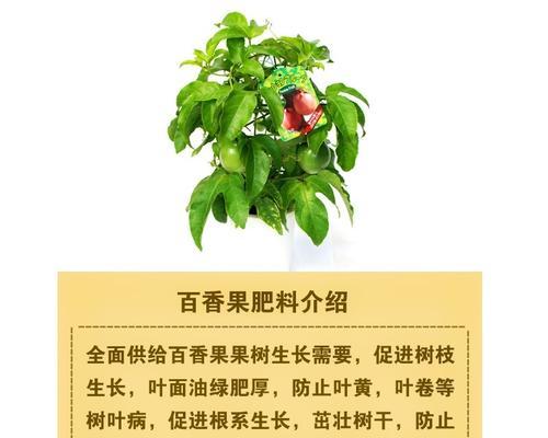 凤尾竹适合使用哪种肥料？如何正确施肥？