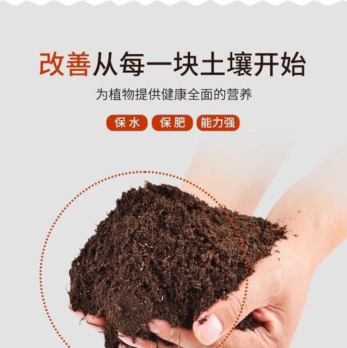凤尾竹适合使用哪种肥料？如何正确施肥？