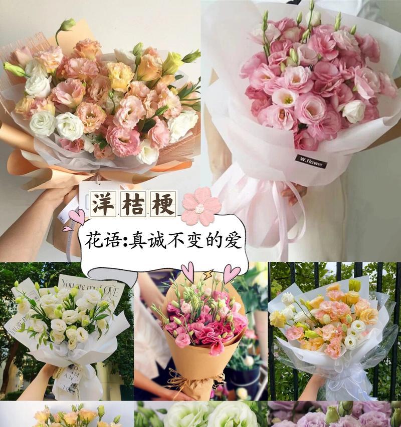 七夕节哪种花最能表达爱意？