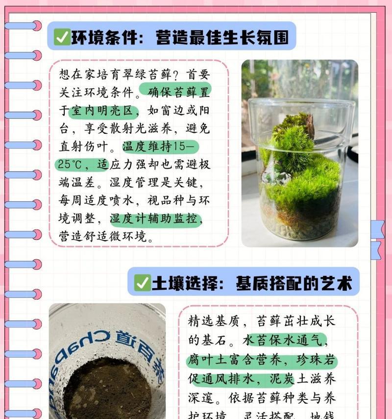 苔藓在盆景中的浇水方法是什么？