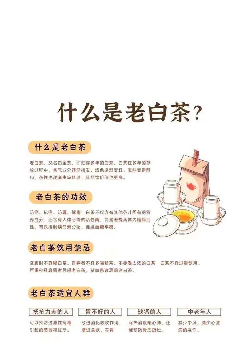年份白茶的花语有何特别之处？适合什么场合品鉴？