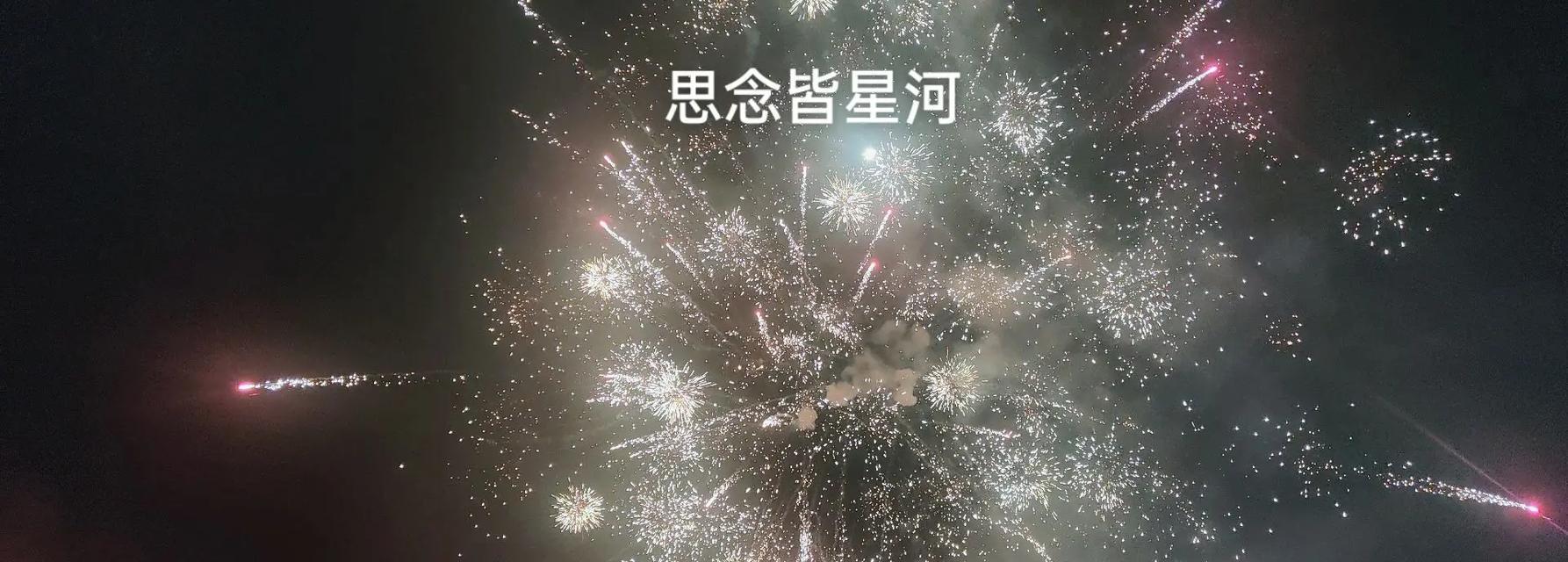 孤注一掷的爱花语表达了怎样的情感？