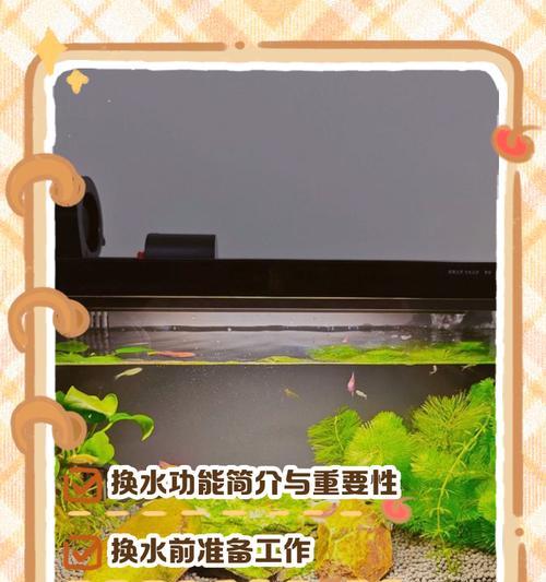 水培罗汉竹的换水技巧有哪些？多久换一次水最佳？