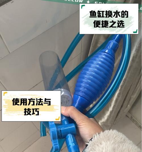 水培罗汉竹的换水技巧有哪些？多久换一次水最佳？