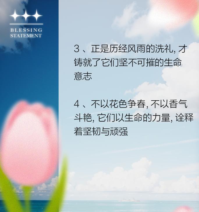 坚强意志的花语是什么？哪种花象征坚持？