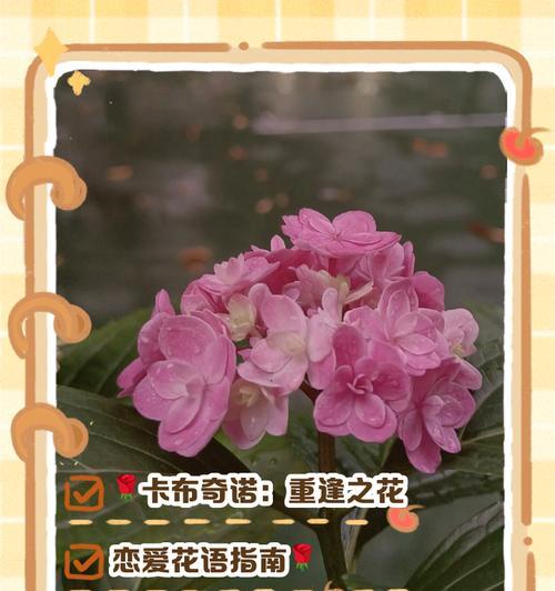 不想分开的花语是什么？哪种花表达了这种情感？