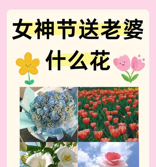 不想分开的花语是什么？哪种花表达了这种情感？