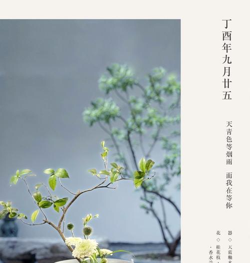 小红小绿玫瑰花语是什么？代表什么？