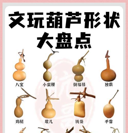 葫芦的科属分类是什么？