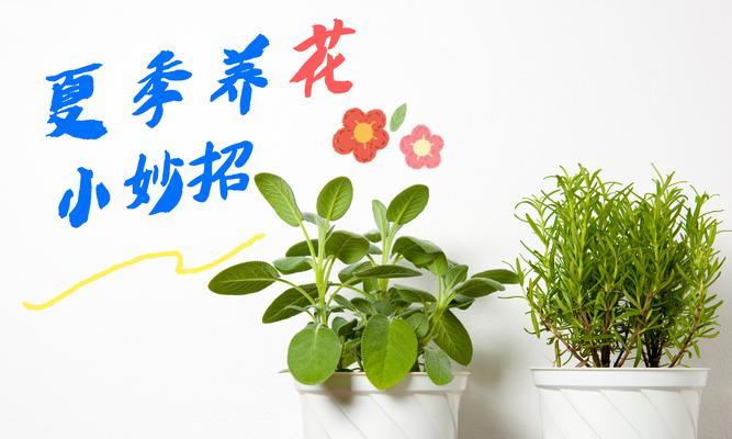 家庭养花需要注意哪些事项？有哪些养花的禁忌？