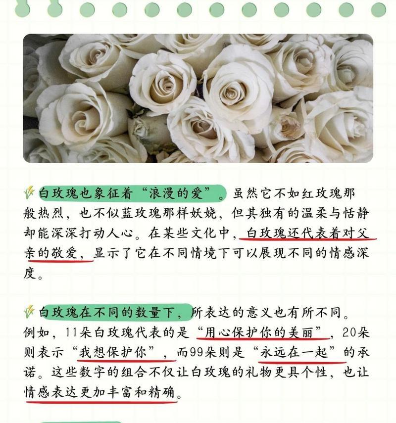 14朵玫瑰花代表了什么含义？14朵玫瑰的花语是什么？