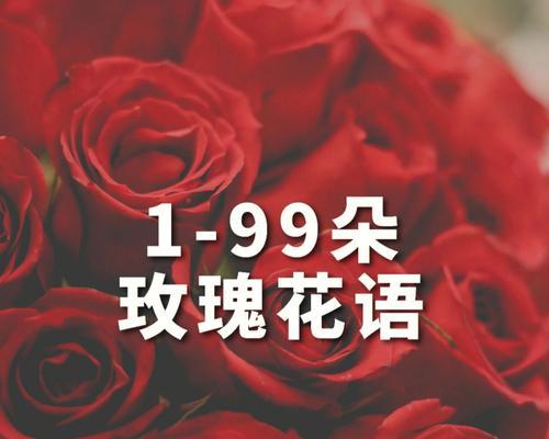 14朵玫瑰花代表了什么含义？14朵玫瑰的花语是什么？