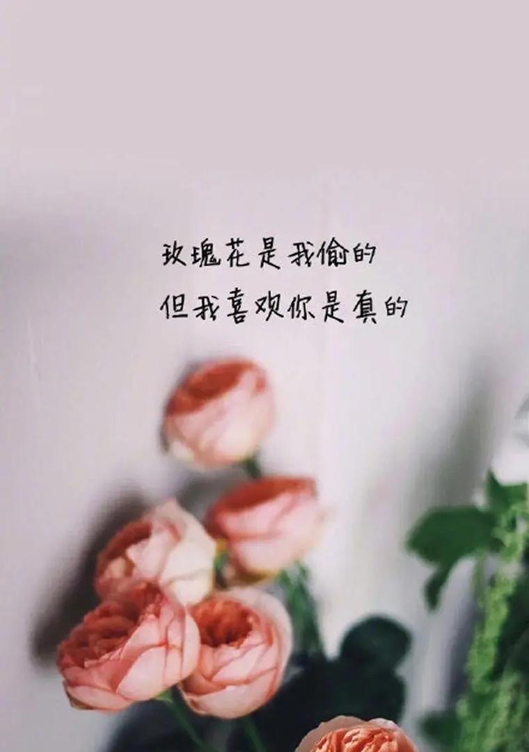 哪种花代表“我永远喜欢你”？