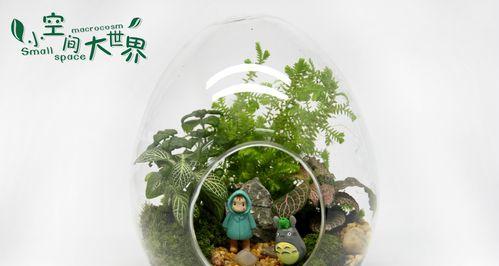桌面造景微景观插花的创意方法有哪些？如何打造个性桌面景观？