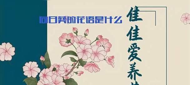大家能认出这是什么花的花语？这种花语代表了什么？