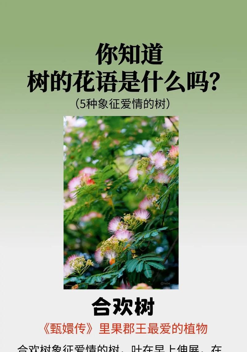 花语大结局最后一集的含义是什么？最后一集的花语有何深意？