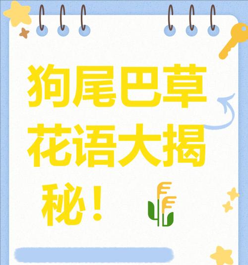 花语大结局最后一集的含义是什么？最后一集的花语有何深意？