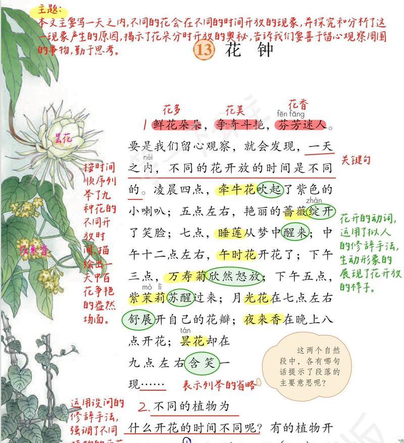 三花真乖的花语是什么？代表哪种花？