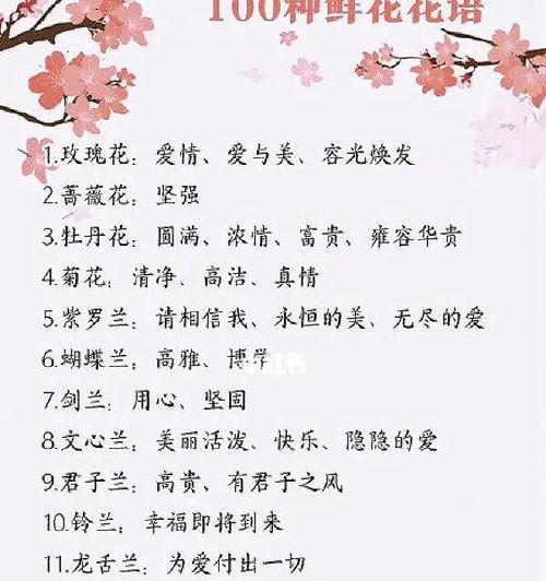 三花真乖的花语是什么？代表哪种花？