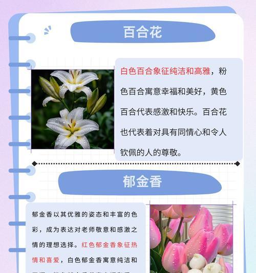 送朋友花卉有哪些寓意？如何选择合适的花卉？
