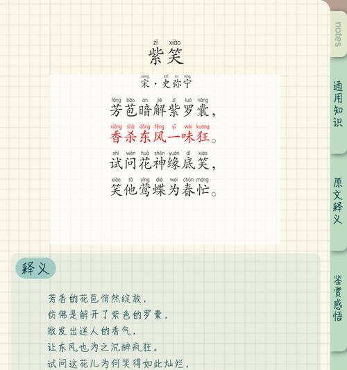 笑看四季的花语有何寓意？它象征着怎样的生活态度？