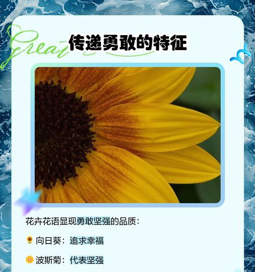 爱的凋零花语寓意何在？如何解读其情感表达？